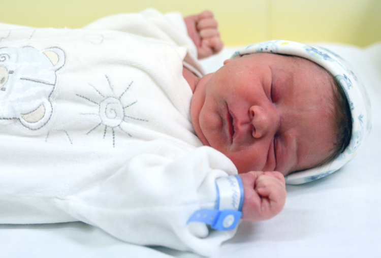 Bara Nándor Máté, Darnózseli