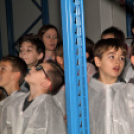 Kőrisfacsemetéket ültettek a diákok a Nolato Magyarország Kft telephelyén