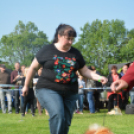 CAC kutyakiállítás (Fotó: Nagy Mária)