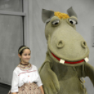 Fölszállott a páva 2016 döntő