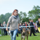 CAC kutyakiállítás (Fotó: Nagy Mária)