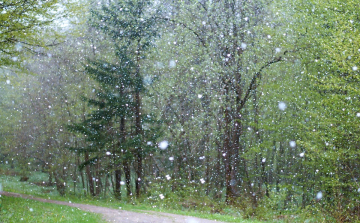 Közlekedési fennakadást és áramszünetet okozott a havazás a Mátrában