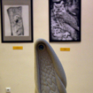 Moson Megyei Tárlat 2016 kiállításának megnyitója (Fotó: Stipkovits Veronika)