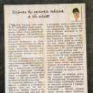 Siklósiné B. Judit Tűvarázs, zsinagógák gobelinben c. kiállítása