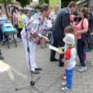 Apró kezek, csodakertek kertépítő verseny (Fotó: Horváth Attila)