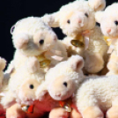 Szent István Napok 2016, 2. nap (Fotó: Stipkovits Veronika és Bánhegyi István)