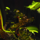 Moson Big Band - Adventi koncert