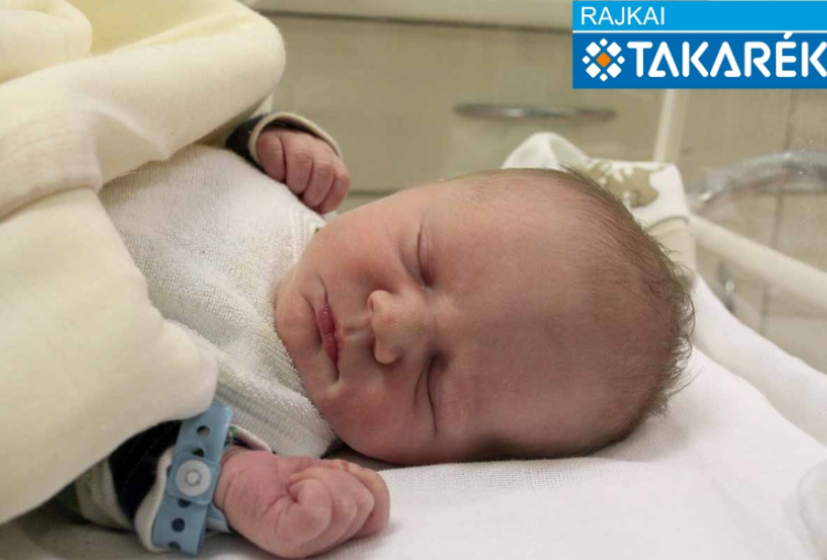 Völgyi Milán, Mosonmagyaróvár