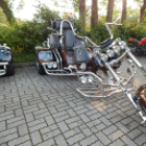 Street Fighter Show Jánossomorján Szöllősi Pepével