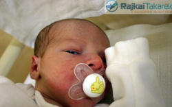 Nyul Dániel, Mosonmagyaróvár