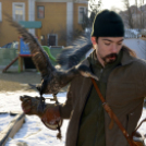 Madaras nap a Pillangó Óvoda és Mini Bölcsődében 