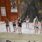 Nyárcsalogató (Fotó: Nagy Mária)