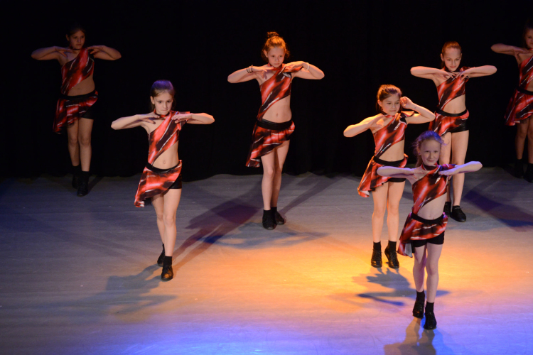 Jótékonysági Műsor