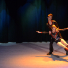 Jótékonysági Műsor