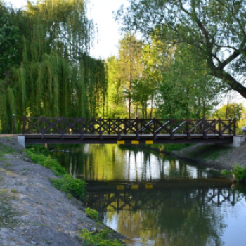 Gyalogos Lajta Híd ünnepélyes átadása (Fotó: Bánhegyi István)