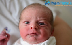 Pingicer Zalán, 2750 gr. Mosonmagyaróvár