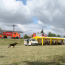 4. Kéklámpás Nap (Fotó: Horváth Attila)