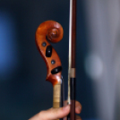 Jótékonysági Vakvacsora a Lions Club Mosonmagyaróvár szervezésében (Fotó: Stipkovits Veronika)