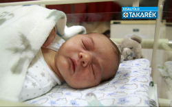 Földes Marcell István, Mosonmagyaróvár