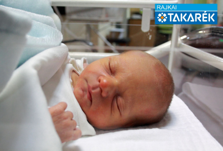 Boros Gábor, Mosonmagyaróvár