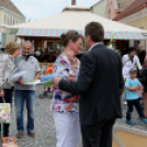 Apró kezek, csodakertek kertépítő verseny (Fotó: Horváth Attila)