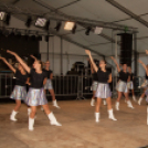 Szigetköz ízei, Vármegye borai Fesztivál - 1 nap