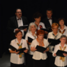 Jótékonysági műsor a Családok Átmeneti Otthona javára (Fotó: Nagy Mária)