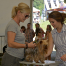 XII. Szigetköz ízei, Vármegye borai Fesztivál 3. nap