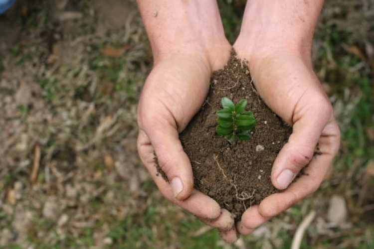 Növényvédőket oktattak