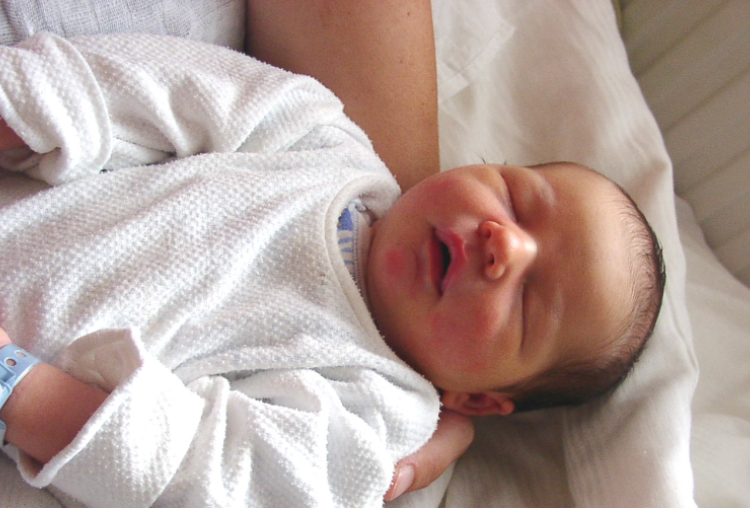 Sebestyén-Szelle Nándor-Dunasziget