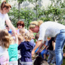 Az Ebuló Kutyaiskola interaktív kutyás bemutatója a Pillangó óvodában (Fotó: Stipkovits Veronika)