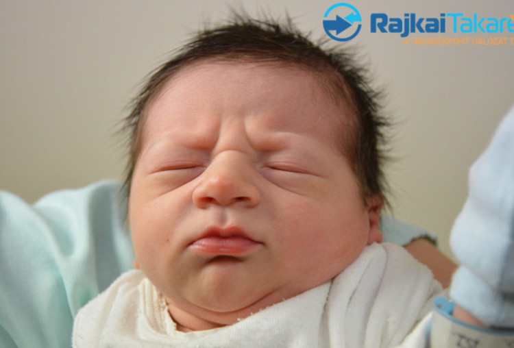 Vajdi Konsztantin Szeráf, 3320 gr. Levél