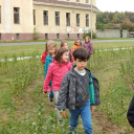 Labirintus és kilátó avatás Mosonmagyaróváron