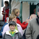 Erzsébet napi vigalom