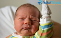 Farkas Dávid, 3260 gr. Jánossomorja