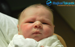 Kalmár Zoltán Bálint, 4180 gr. Mosonmagyar