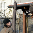 Madaras nap a Pillangó Óvoda és Mini Bölcsődében 