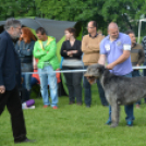 CAC kutyakiállítás (Fotó: Nagy Mária)