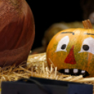 X. Jánossomorjai Tökfesztivál (Fotó: Horváth Attila)