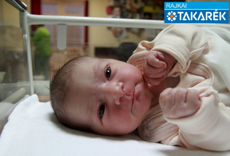 Kincses Flóra, Mosonmagyaróvár