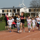 XV. Greiner Szigetköz Félmaraton