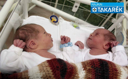 Melecski Áron és Melecski Alex, Jánossomorja