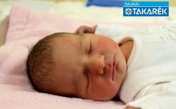 Patyi Zsófia, Mosonmagyaróvár