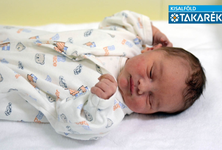 Simon Márk József, Mosonmagyaróvár