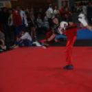 Szlovák Open verseny