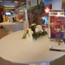 Kapunyitás a Wittmann Robottechnikai Kft-nél