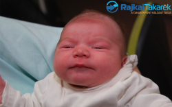 Krigler Hanga, 3620 gr. Mosonmagyaróvár