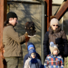 Madaras nap a Pillangó Óvoda és Mini Bölcsődében 