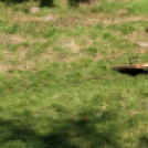 XII. Szigetköz ízei, Vármegye borai Fesztivál 2. nap