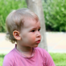 Az Ebuló Kutyaiskola interaktív kutyás bemutatója a Pillangó óvodában (Fotó: Stipkovits Veronika)